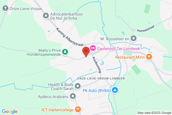 Personenvervoer TLD VIP Driving luchthavenvervoer