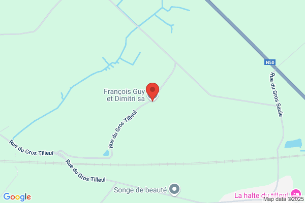 François Guy Et Dimitri Sa
