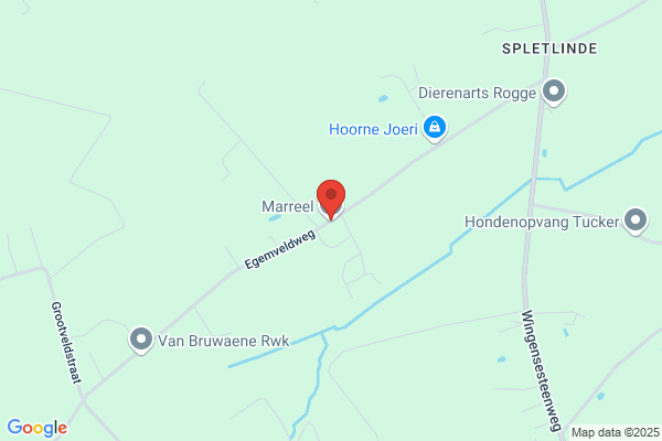 Marreel Bvba