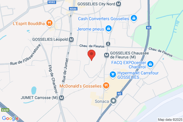 Lefort D