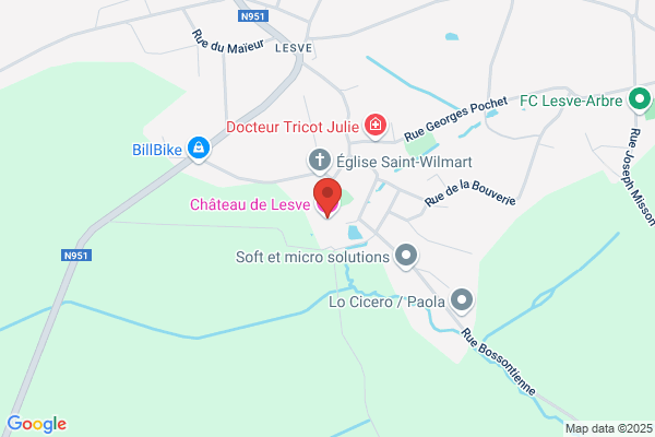 Château De Lesve Sprl