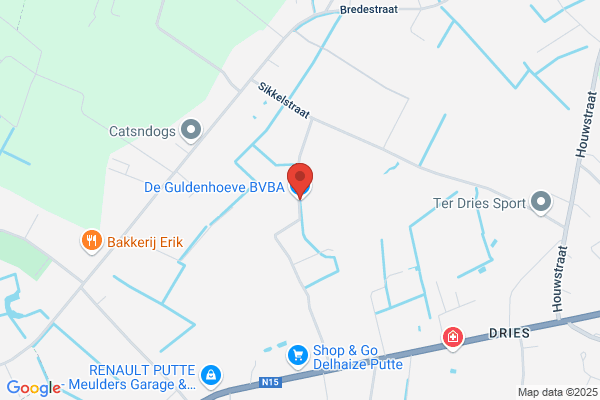 Delang-Goossens B.