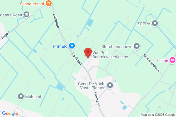 Vernaillen M Nv