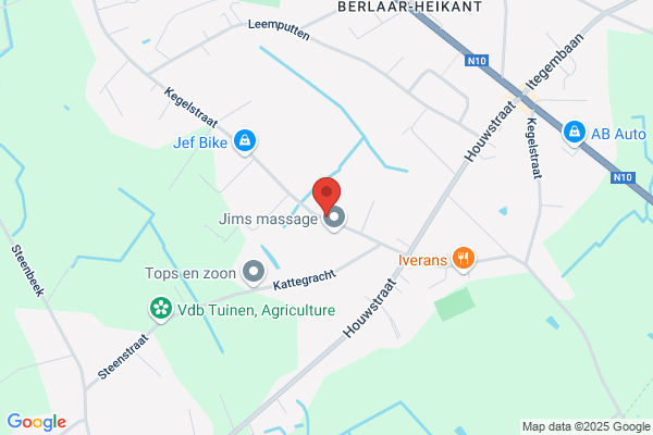 Groene Mannetje (Het)