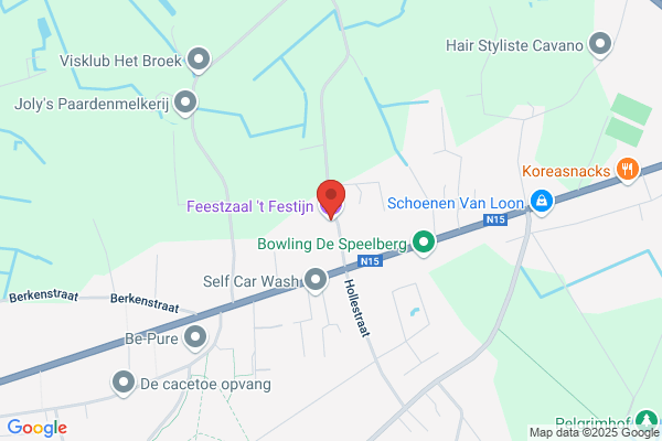 Festijn ('t)