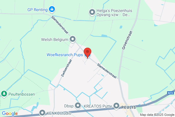 Verschueren Dyck