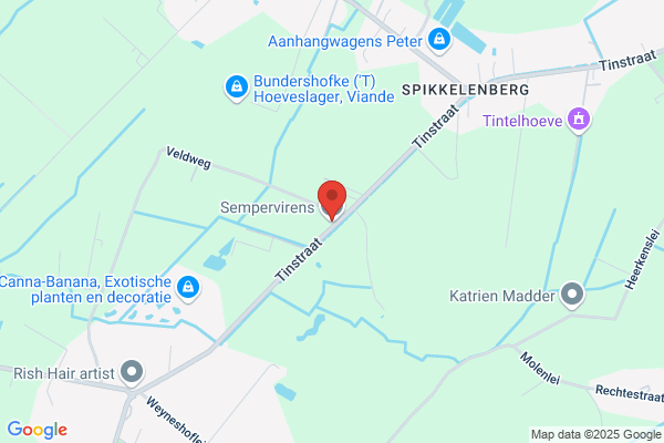 Verbinnen/Francois