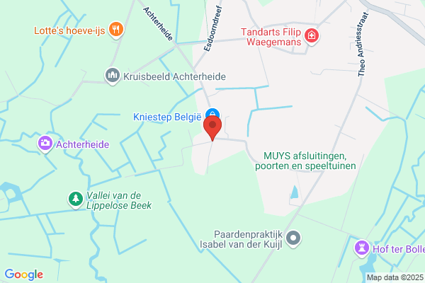 Sinonquel