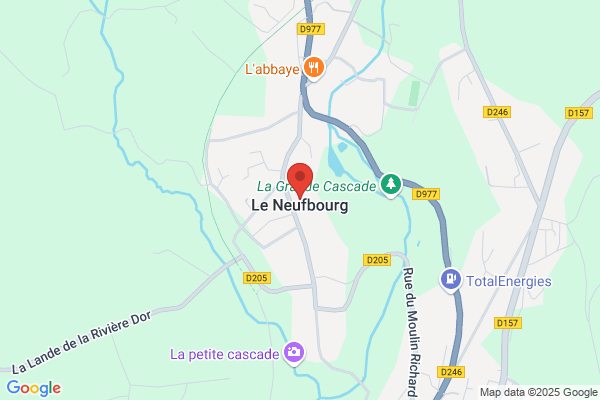 Deneufbourg/Michel