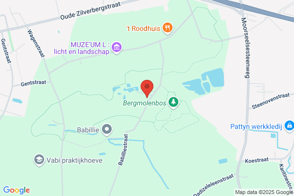 Paardekin ('t)
