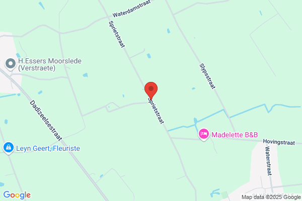 Vermoortele/Georges