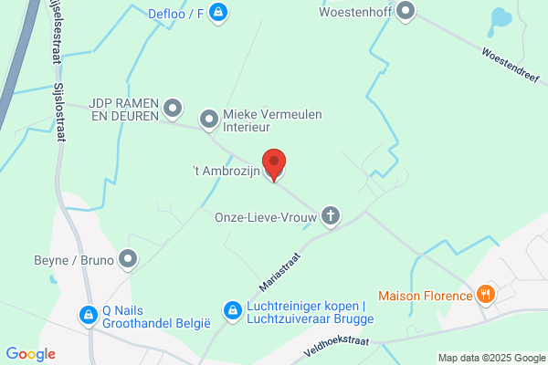Ambrozijn