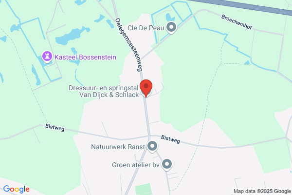 Van Dijck Hippotherapie