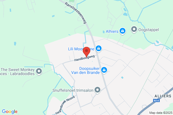 Vloebergs Bob Bvba