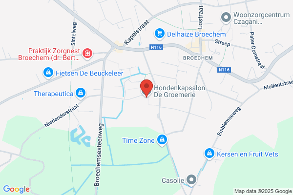 Gabriels-Goyens R.