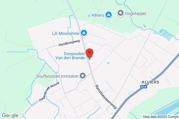 Van Den Broeck/Jutta