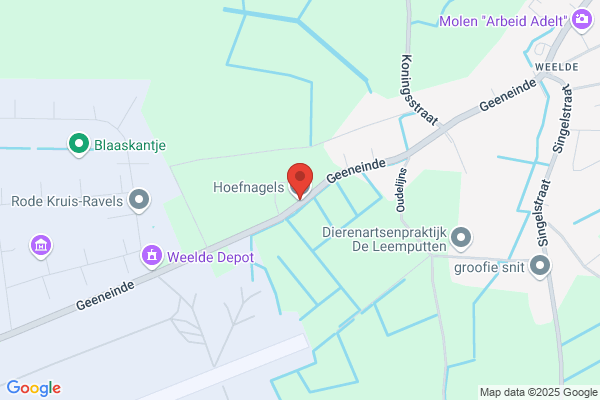 Hoefnagels Nv