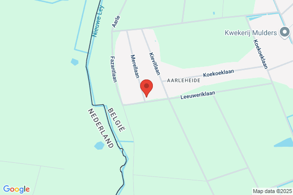 Van Den Boogaart/Martinus