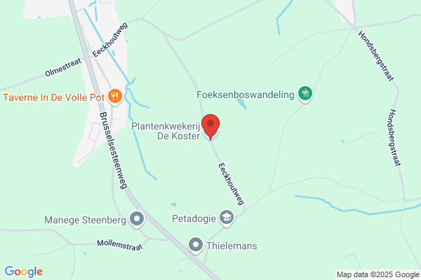 Bvba De Koster Zaadhandel