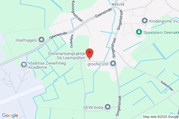 Voor De Leeuwen
