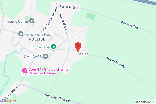 Georges Genard