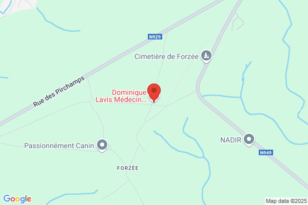 Lavis/Dominique