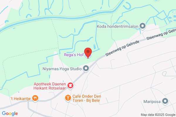 Reygaerts/Godefridus