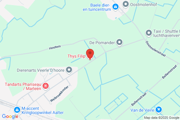 Thys Filip