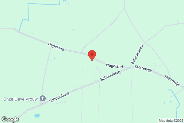 Vdw Groencreaties & Groendaken