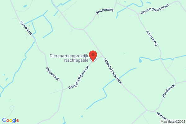 De Ark Dierenartsenpraktijk