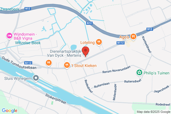 M. Van Dyck