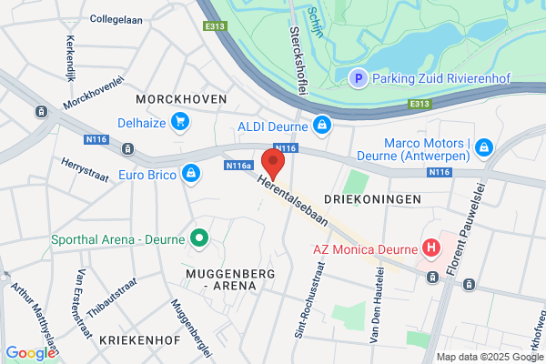 Beeckman Dier Tuin Deco