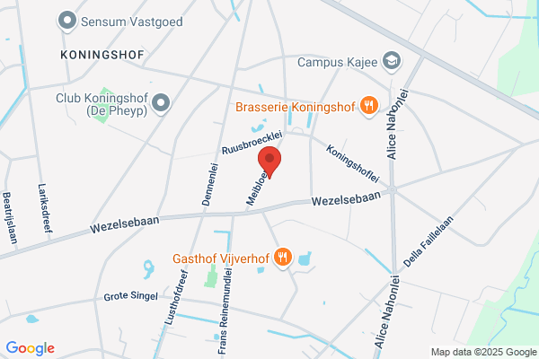 Meibloem (De)