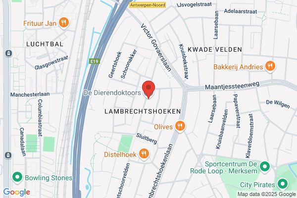 Sinjan - Dierenarts