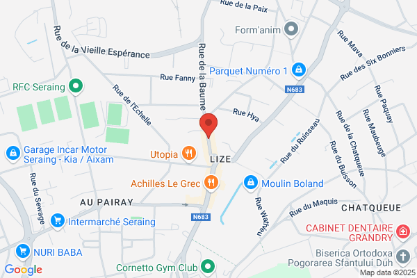 Tai Chi Chuan (Ecole De)