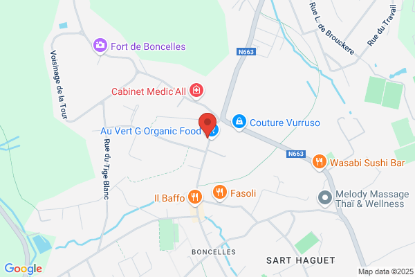Service Et Gestion Sprl