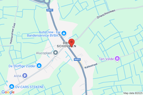 Ongena-Van Bogaert