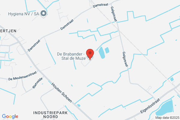 De Brabander/Gino