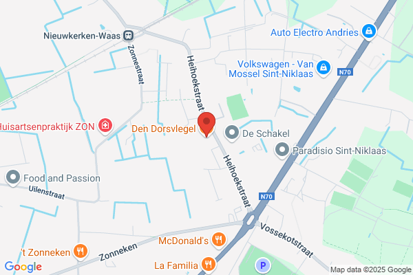 Den Dorsvlegel