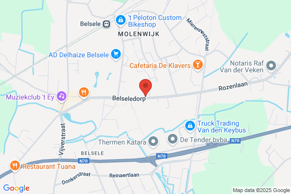Madeliefje ('t)