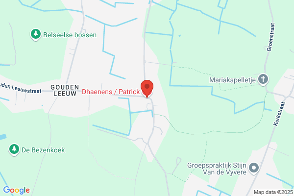 Dhaenens/Patrick