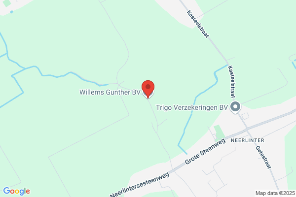 Willems Gunter