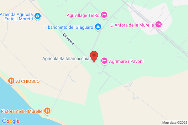 Saltalamacchia/A.