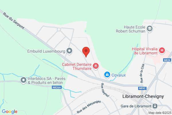 Henneaux/Daniel