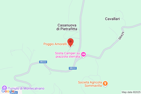 Amorelli/Pietro