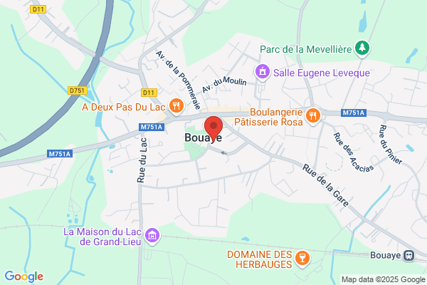 Leloup D