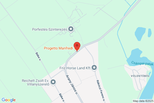Manfredi-Baillet/R.