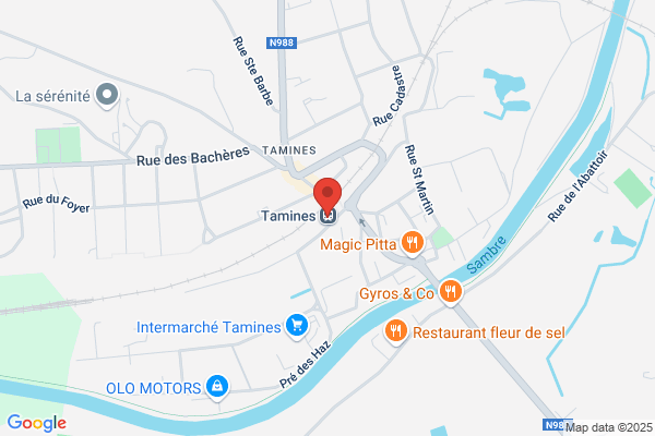 Caméléon (Le)
