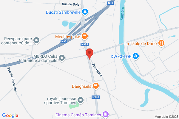 Roi Chevalier (Le)