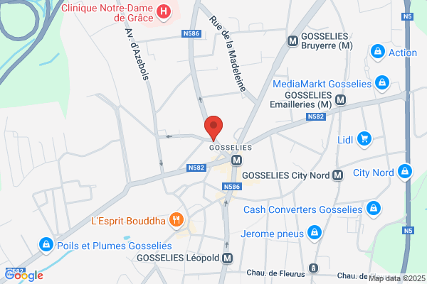 Dog Cat Family